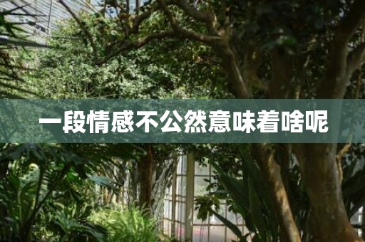一段情感不公然意味着啥呢