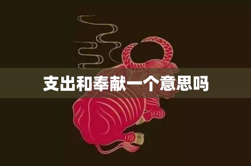 支出和奉献一个意思吗