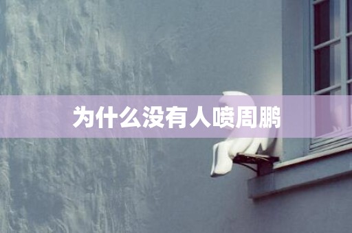 为什么没有人喷周鹏