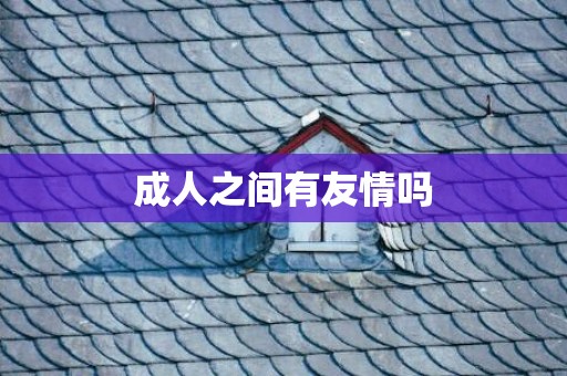 成人之间有友情吗