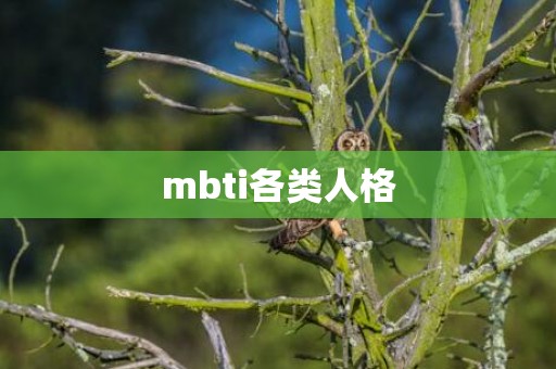 mbti各类人格