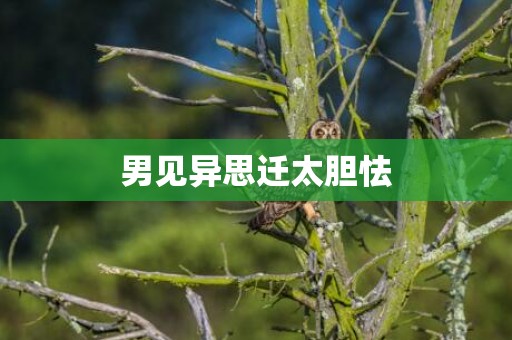 男见异思迁太胆怯