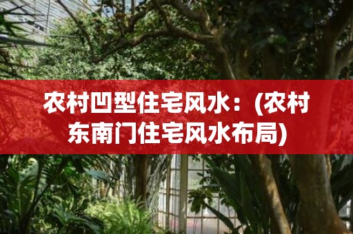 农村凹型住宅风水：(农村东南门住宅风水布局)