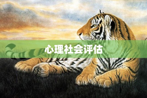 心理社会评估