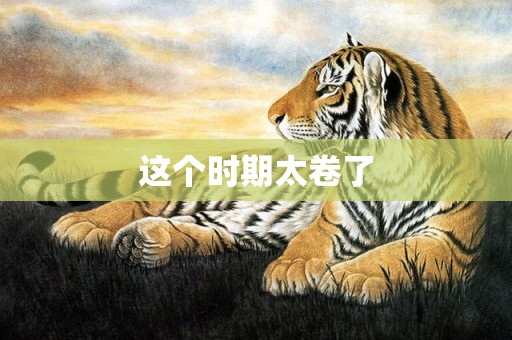 这个时期太卷了