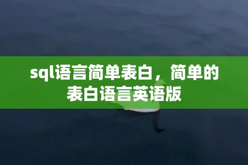 sql语言简单表白，简单的表白语言英语版