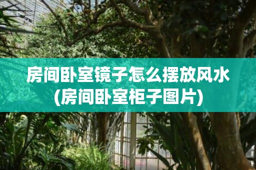 房间卧室镜子怎么摆放风水(房间卧室柜子图片)