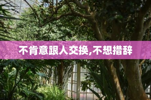 不肯意跟人交换,不想措辞