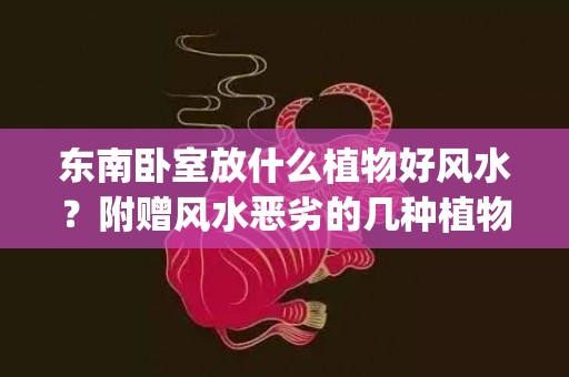 东南卧室放什么植物好风水？附赠风水恶劣的几种植物小心避免(东南卧室挂什么画好)