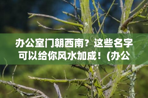 办公室门朝西南？这些名字可以给你风水加成！(办公室门朝西南好吗)