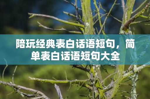陪玩经典表白话语短句，简单表白话语短句大全