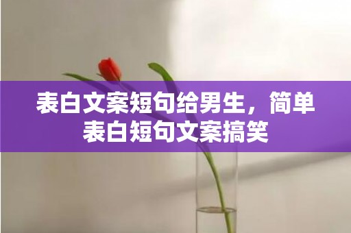 表白文案短句给男生，简单表白短句文案搞笑