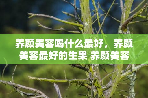 养颜美容喝什么最好，养颜美容最好的生果 养颜美容补气血摄生茶