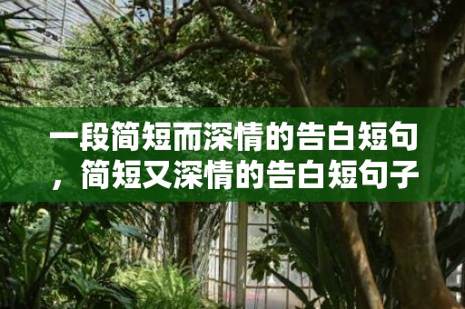一段简短而深情的告白短句，简短又深情的告白短句子