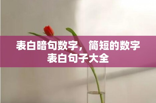 表白暗句数字，简短的数字表白句子大全