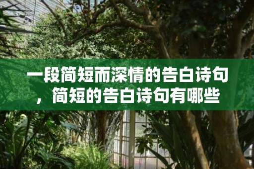 一段简短而深情的告白诗句，简短的告白诗句有哪些