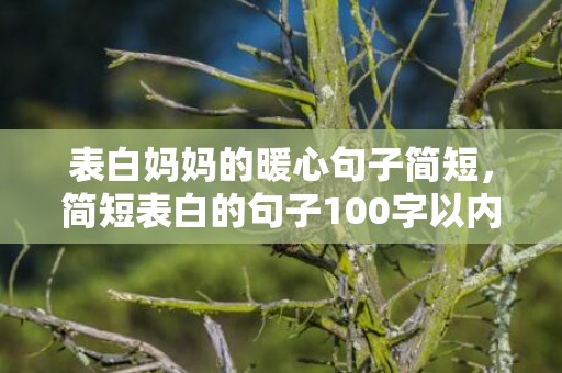 表白妈妈的暖心句子简短，简短表白的句子100字以内
