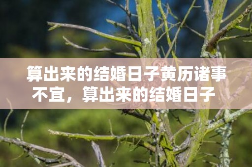 算出来的结婚日子黄历诸事不宜，算出来的结婚日子 忌嫁娶