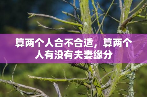 算两个人合不合适，算两个人有没有夫妻缘分