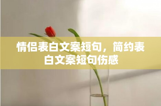 情侣表白文案短句，简约表白文案短句伤感