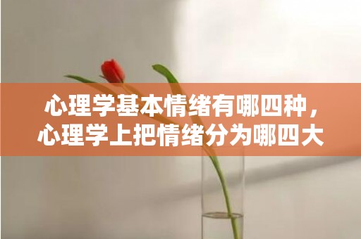 心理学基本情绪有哪四种，心理学上把情绪分为哪四大类型