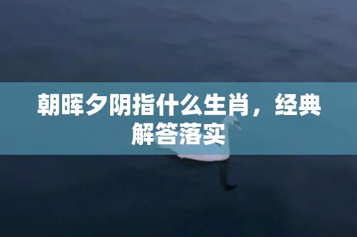 朝晖夕阴指什么生肖，经典解答落实