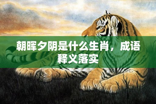 朝晖夕阴是什么生肖，成语释义落实