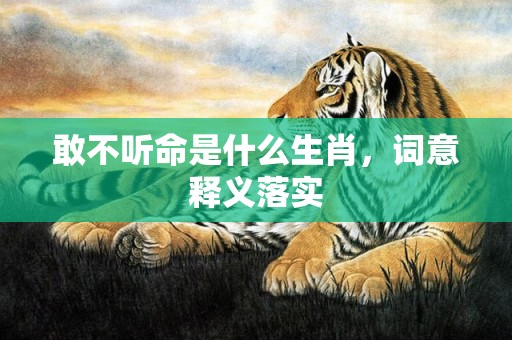 敢不听命是什么生肖，词意释义落实