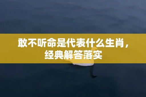 敢不听命是代表什么生肖，经典解答落实