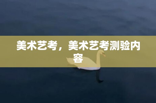 美术艺考，美术艺考测验内容