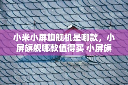 小米小屏旗舰机是哪款，小屏旗舰哪款值得买 小屏旗舰手机好用吗