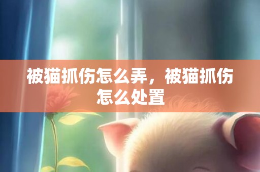 被猫抓伤怎么弄，被猫抓伤怎么处置