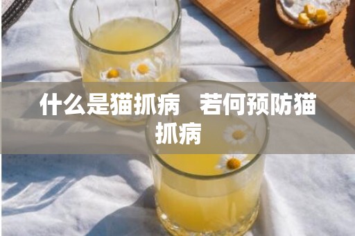 什么是猫抓病   若何预防猫抓病