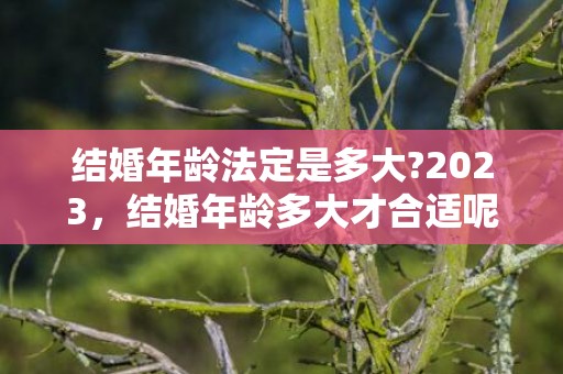 结婚年龄法定是多大?2023，结婚年龄多大才合适呢