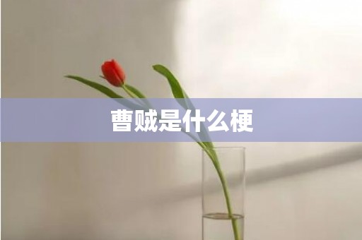 曹贼是什么梗