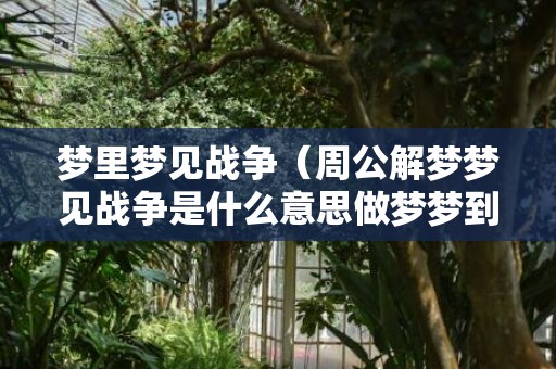 梦里梦见战争（周公解梦梦见战争是什么意思做梦梦到战争代表什么?好不好...）