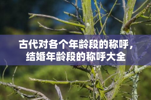 古代对各个年龄段的称呼，结婚年龄段的称呼大全