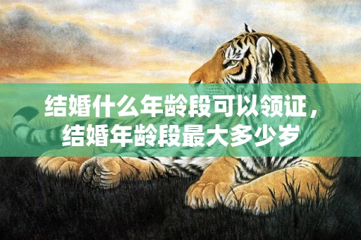 结婚什么年龄段可以领证，结婚年龄段最大多少岁