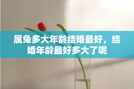 属兔多大年龄结婚最好，结婚年龄最好多大了呢