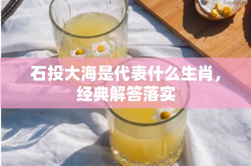 石投大海是代表什么生肖，经典解答落实