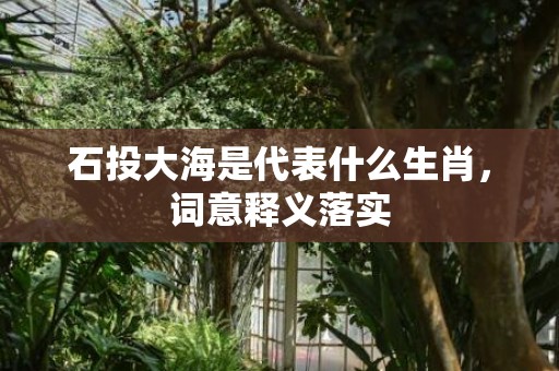 石投大海是代表什么生肖，词意释义落实