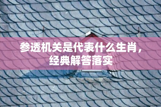 参透机关是代表什么生肖，经典解答落实
