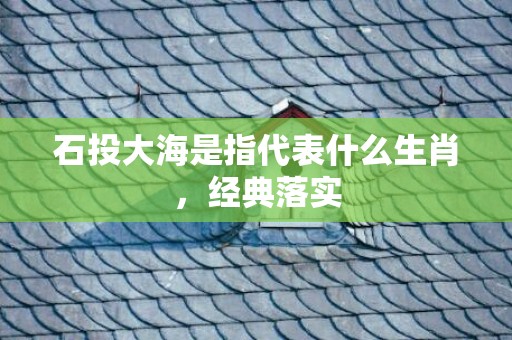 石投大海是指代表什么生肖，经典落实