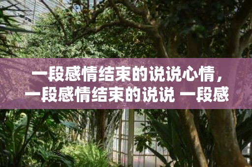 一段感情结束的说说心情，一段感情结束的说说 一段感情真正结束的标志，彻底结束了一段感情的说说