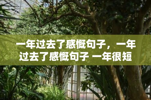一年过去了感慨句子，一年过去了感慨句子 一年很短，我们不见不散 又是一年过去了,感慨