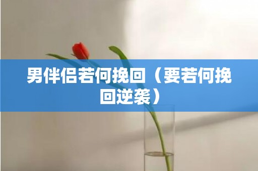 男伴侣若何挽回（要若何挽回逆袭）