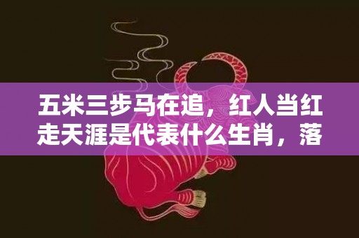 五米三步马在追，红人当红走天涯是代表什么生肖，落实精选答案
