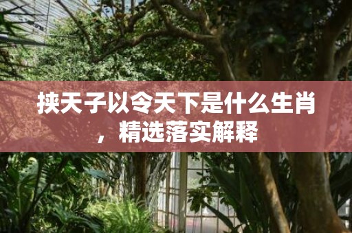 挟天子以令天下是什么生肖，精选落实解释