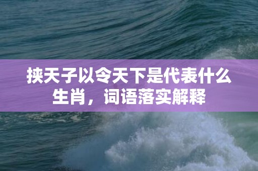 挟天子以令天下是代表什么生肖，词语落实解释
