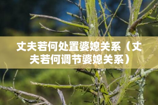 丈夫若何处置婆媳关系（丈夫若何调节婆媳关系）